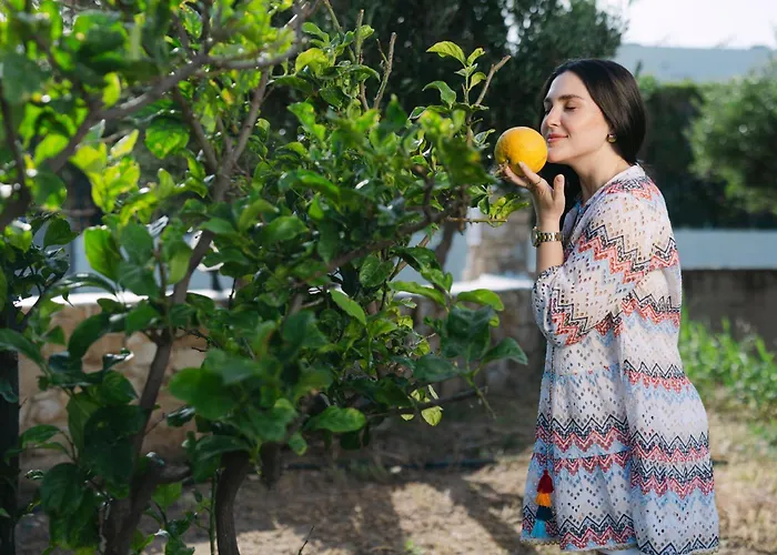 Apartment Perama Agios Prokopios (Naxos)